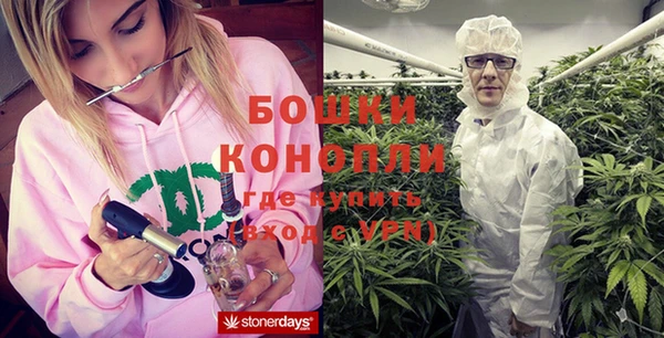 PSILOCYBIN Инсар