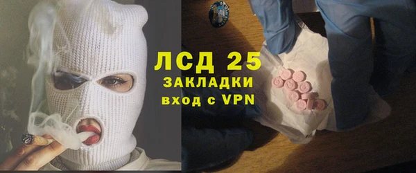 PSILOCYBIN Инсар