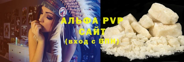 PSILOCYBIN Инсар