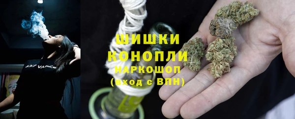 PSILOCYBIN Инсар