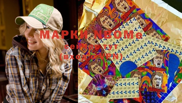 PSILOCYBIN Инсар