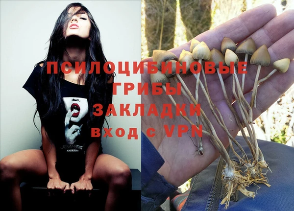 мескалин Иннополис