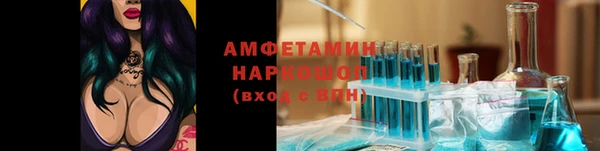 PSILOCYBIN Инсар