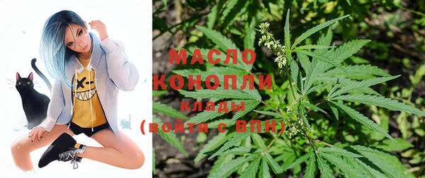 PSILOCYBIN Инсар