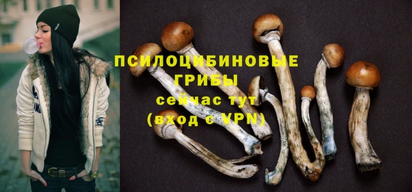 PSILOCYBIN Инсар