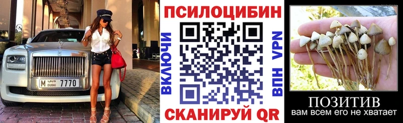 Галлюциногенные грибы GOLDEN TEACHER  Купить где  Гулькевичи 